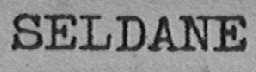 SELDANE