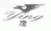 鹰