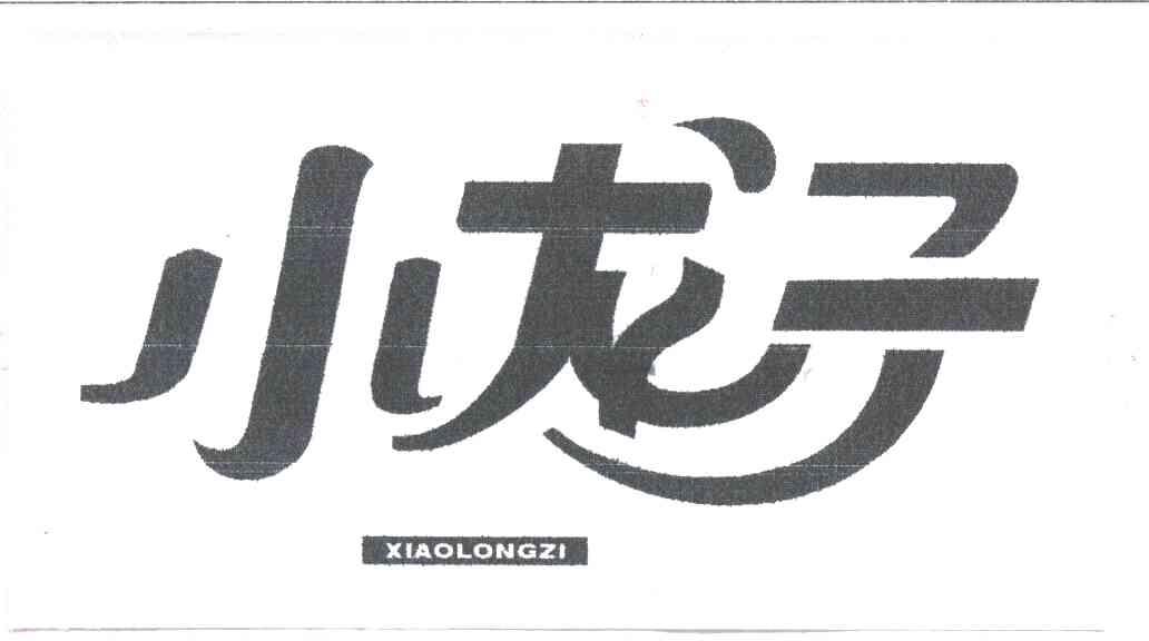 小龙子