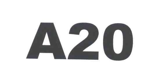 A;20