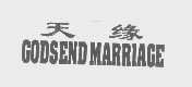 天缘   GODSEND MARRIAGE