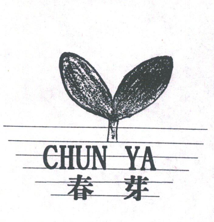 春芽