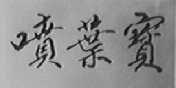 喷叶宝
