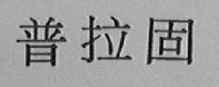 普拉固