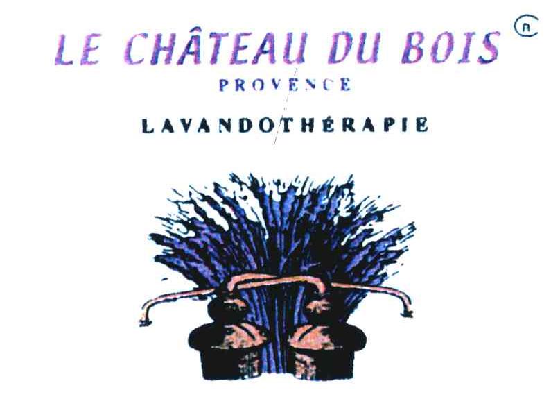 LE CHATEAU DU BOIS;PROVENCE;LAVANDOTHERAPIE