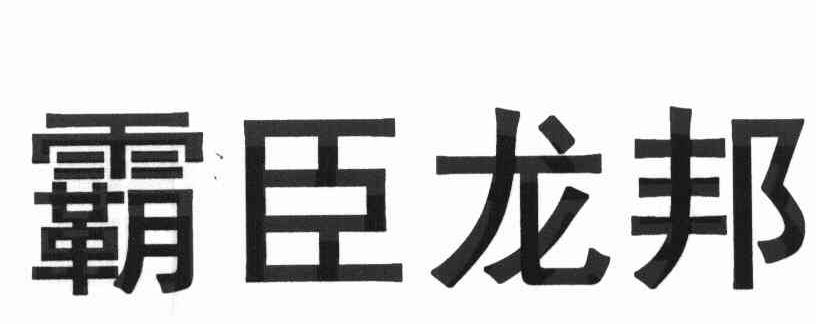 霸臣龙邦