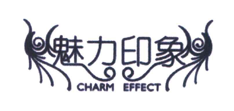 魅力印象;CHARM EFFECT
