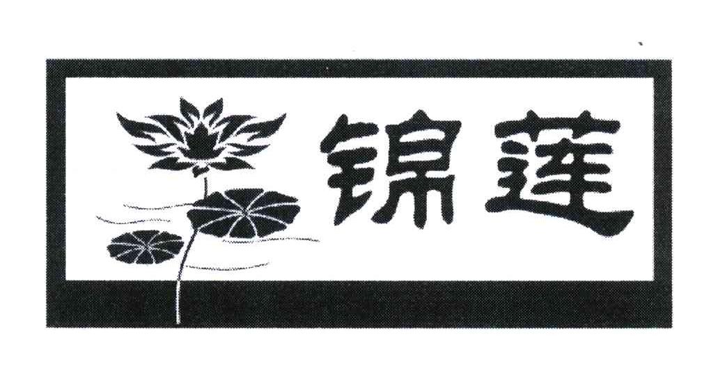 锦莲