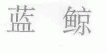 蓝鲸