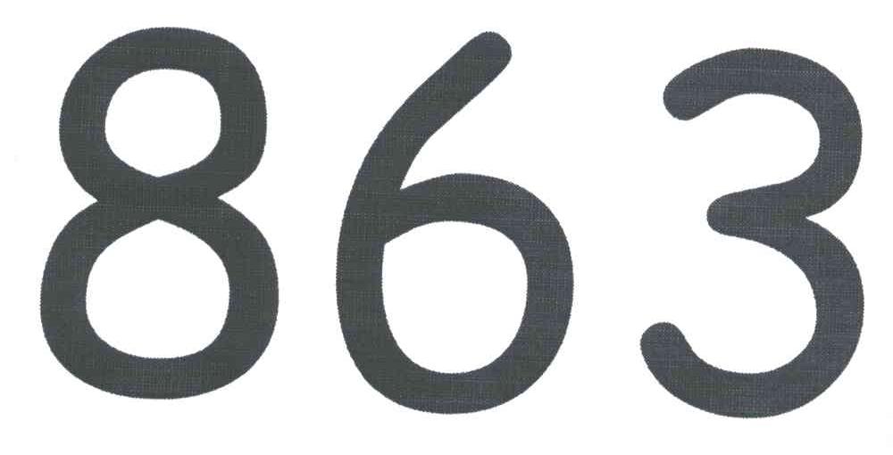 863