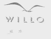 威路   WILLO