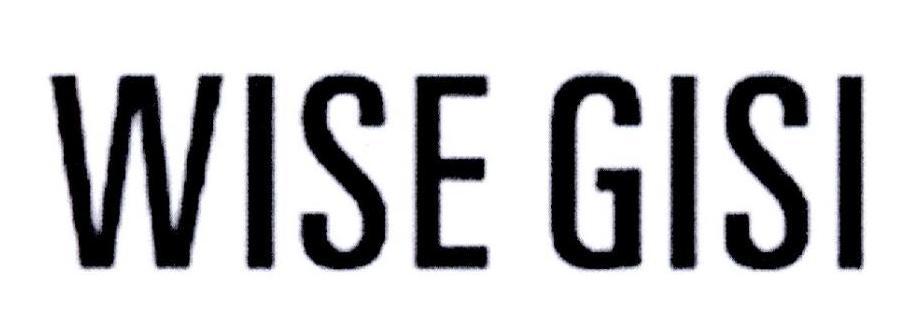 WISE GISI