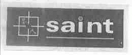 圣人;SAINT
