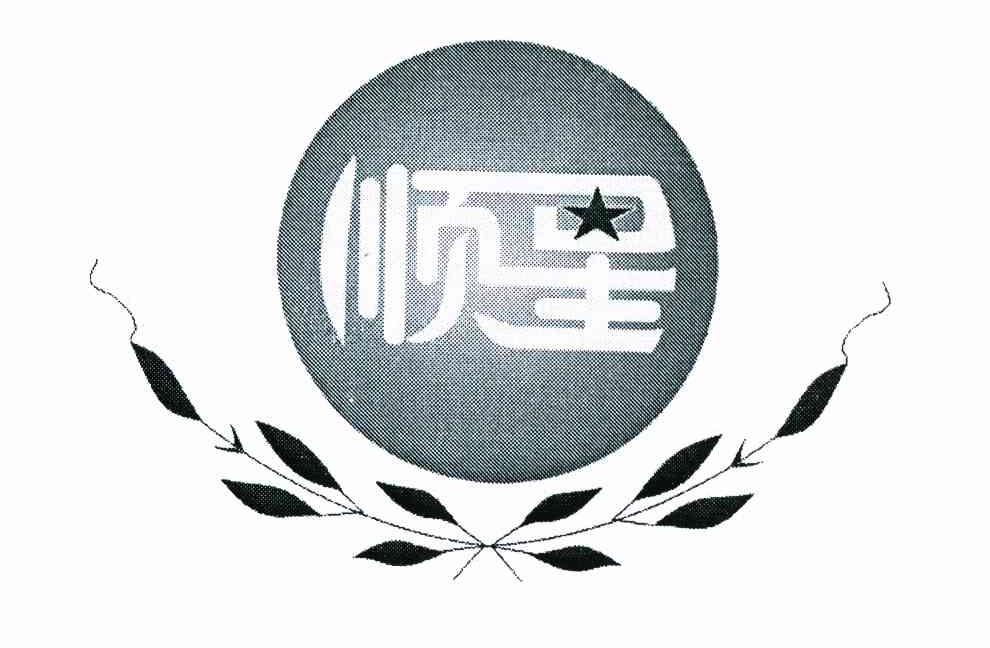 顺星