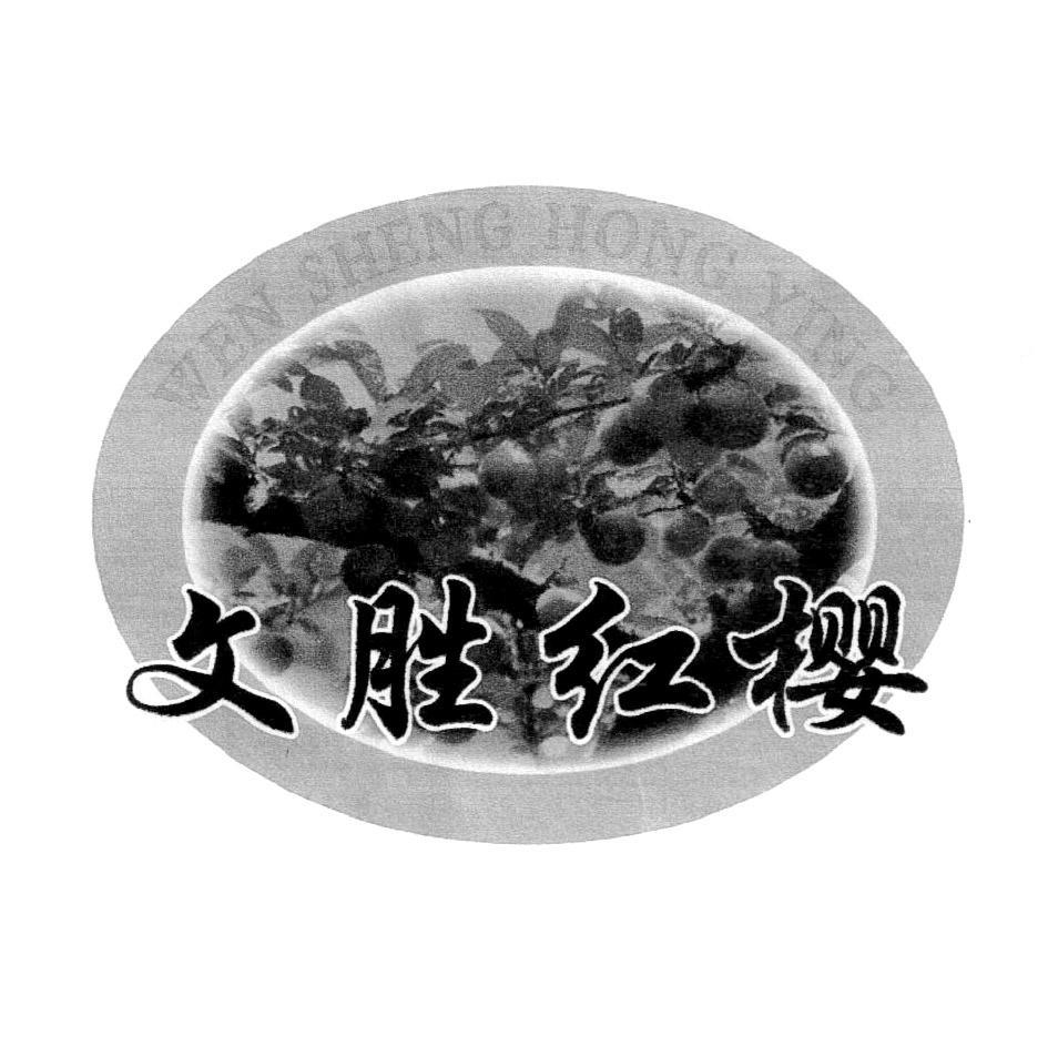 文胜红樱
