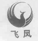 飞凤