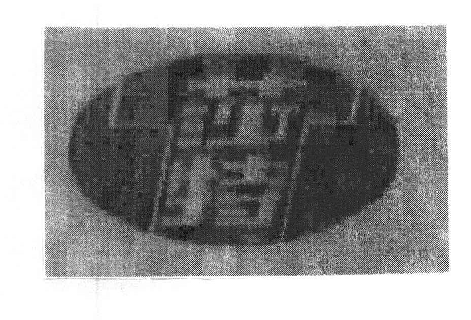 莎特