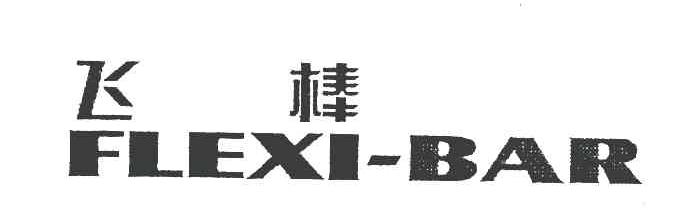 飞棒 FLEXI BAR