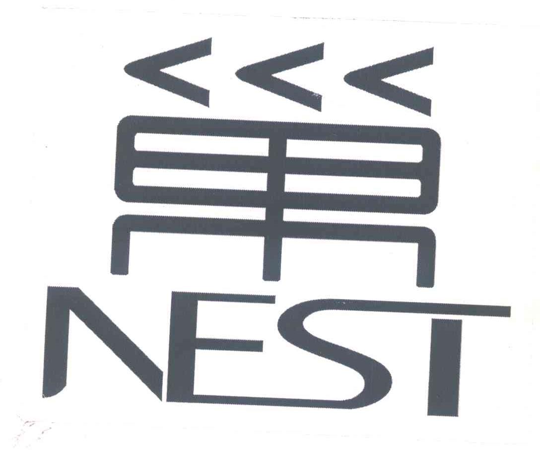 巢;NEST
