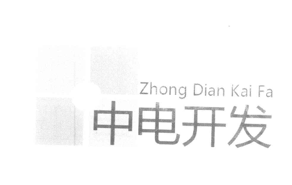 中电开发