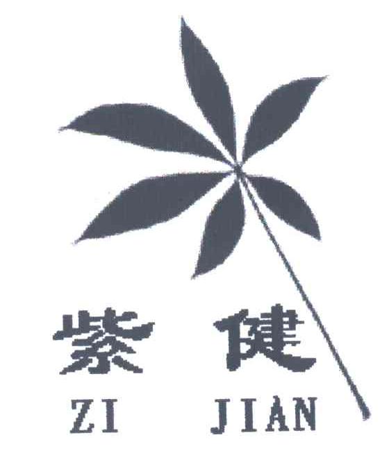 紫健;ZI JIAN