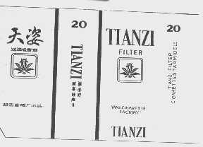 天姿