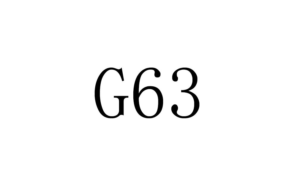 G 63