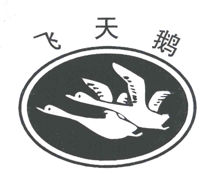 飞天鹅