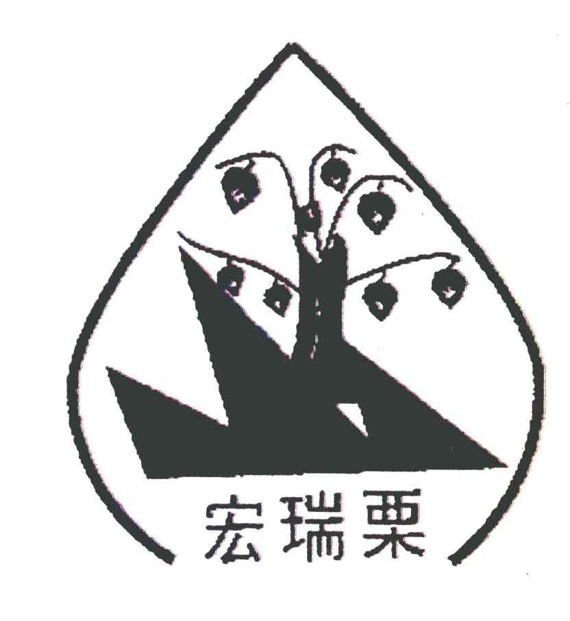 宏瑞栗