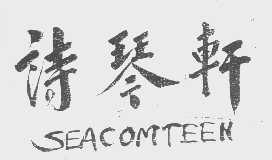 诗琴轩   SEACOMTEEN