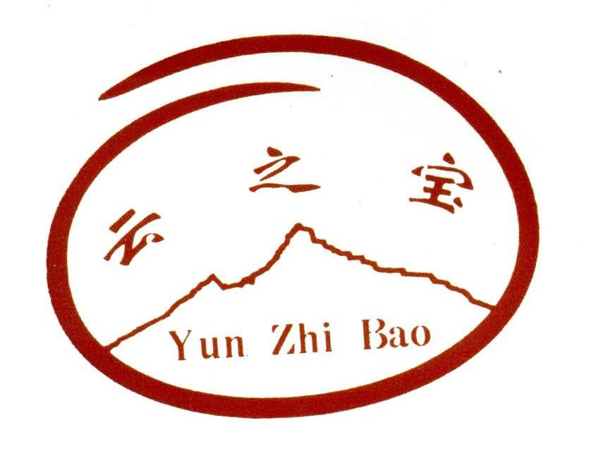云之宝