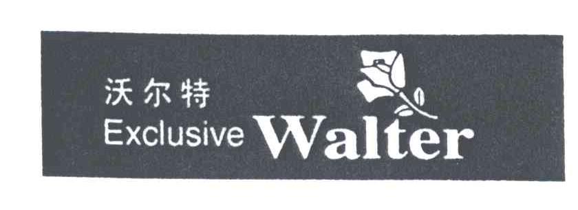 沃尔特;EXCLUSIVE WALTER