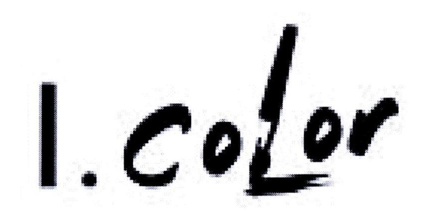 I.COLOR