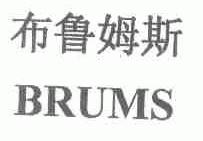 布鲁姆斯;BRUMS
