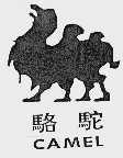骆驼;CAMEL