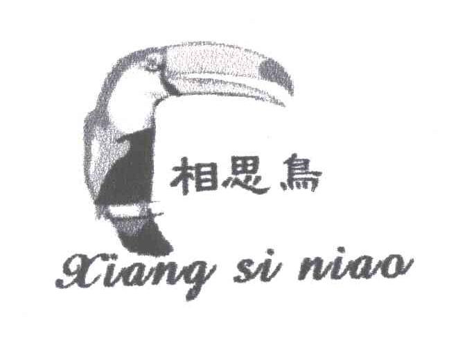 相思鸟