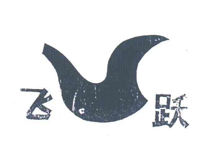 飞跃