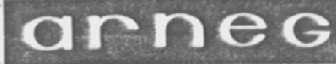 ARNEG
