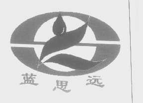 蓝思远