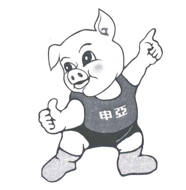 申亚