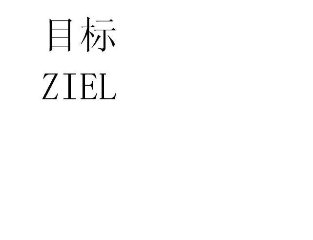 目标 ZIEL