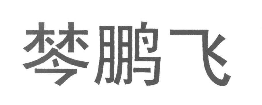 棽鹏飞