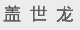盖世龙