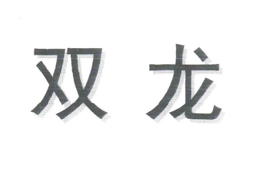 双龙
