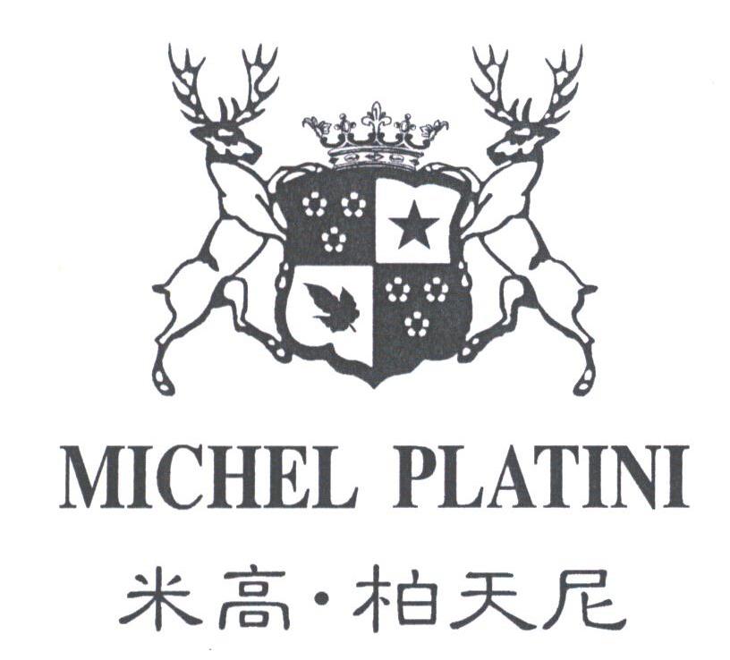 米高柏天尼;MICHEL PLATINI