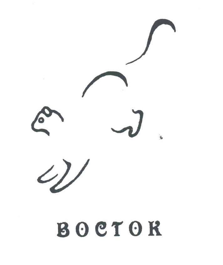 图形BOETOR
