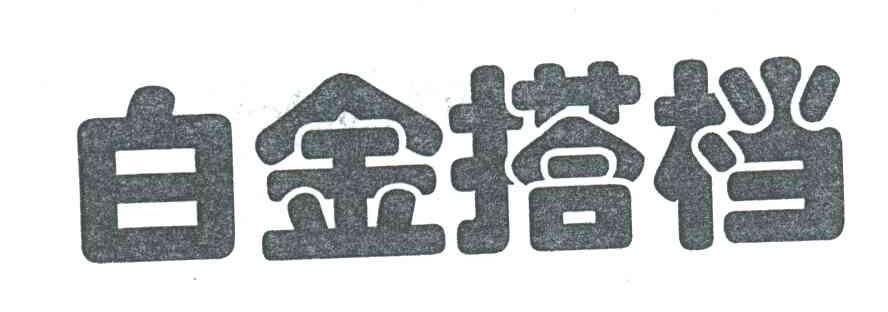 白金搭档