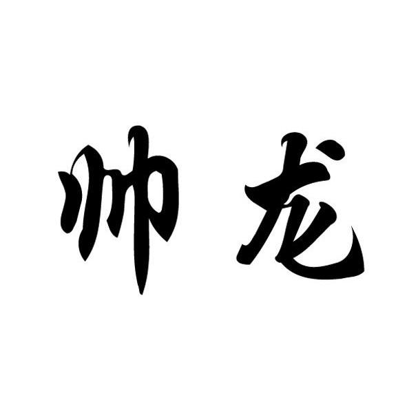 帅龙
