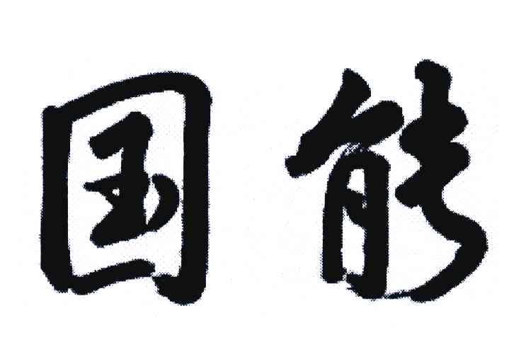 国能