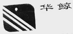 华鲸